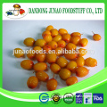 Frozen wild organic sea buckthorn berries